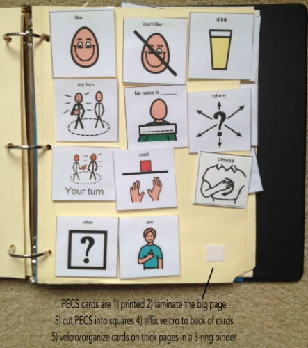 Picture Exchange Communication System (PECS) – BrainFood Cookbook Blog